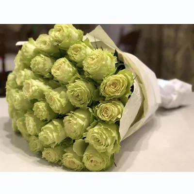51 бело-зеленая роза Ноэль | купить недорого | доставка по Москве и области