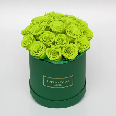 Букет 25 бело-зеленых роз (под заказ) купить с доставкой в СПб