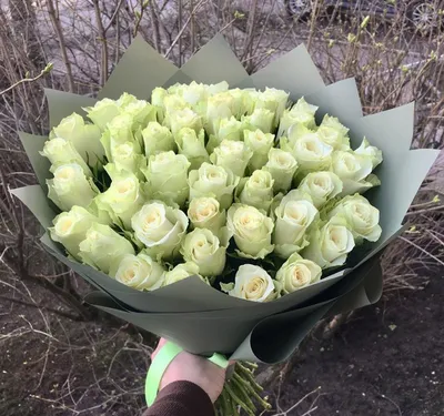 Бело-зелёные розы в коробке | купить недорого | доставка по Москве и  области | Roza4u.ru