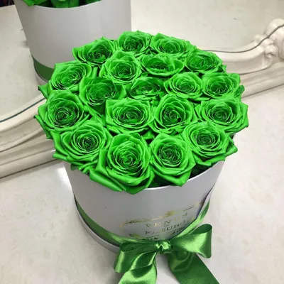 Зеленые с буквой (сердце) от 51 шт. за 12 690 руб. | Бесплатная доставка  цветов по Москве