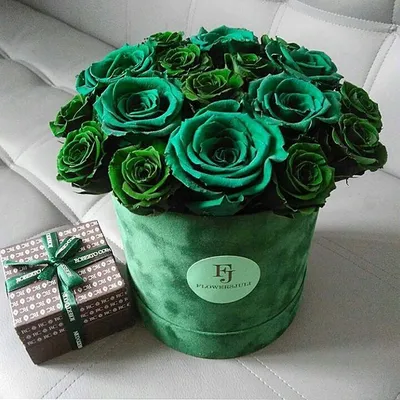 Букет зеленых роз – купить с бесплатной доставкой в Москве. Цена ниже!