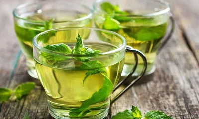 Зеленый чай: все о пользе и вреде для организма человека