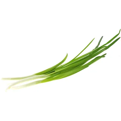 Купить зеленый лук с доставкой на дом и офис в Нов