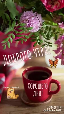 Картинка: Доброе утро! Желаю хорошего дня