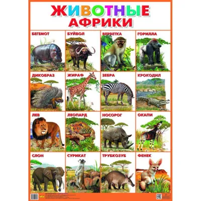 Купить книгу «Животные Африки в натуральную величину», Хольгер Хааг |  Издательство «Махаон», ISBN: 978-5-389-20814-8
