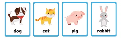 Животные на английском с картинками