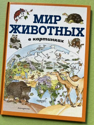 Домашние животные в картинках — купить книги на русском языке в DomKnigi в  Европе