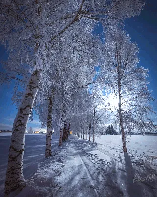 Зима /Winter - GIF АНИМАЦИЯ - Страна красоты Gif | 산수