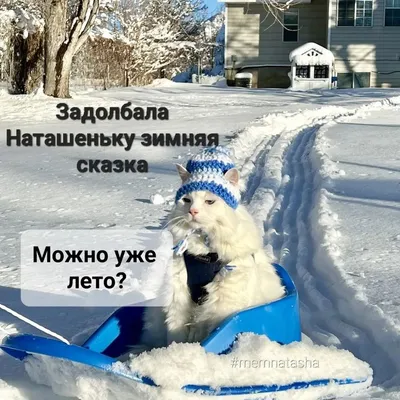 Россия :: снег :: страны :: метель :: зима / смешные картинки и другие  приколы: комиксы, гиф анимация, видео, лучший интеллектуальный юмор.
