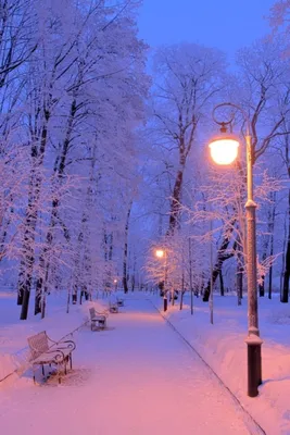Красивые картинки на телефон на заставку скачать бесплатно зима (53  картинки) | Winter szenen, Schöne landschaften, Naturbilder