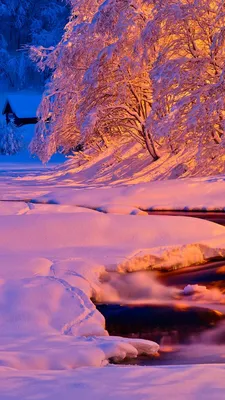 Дерево зимы в России стоковое фото. изображение насчитывающей телефон -  111688024
