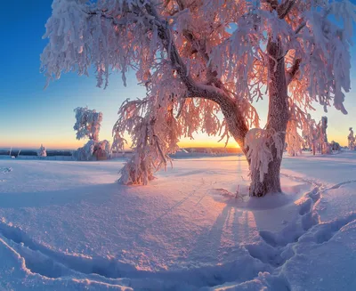 Природа России зима (43 фото) - 43 фото