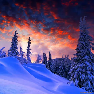 картинки : Естественный, зима, снег, природа, Синий, дерево, Красное небо  утром, Природный ландшафт, Красный, Замораживание, вечер, облако, филиал,  Восход, закат солнца, горизонт, атмосфера, смеркаться, Послесвечение,  Солнечный лучик, Древесное ...