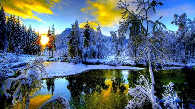 Зима Красивая природа Зимнее вдохновение | МИР ВОКРУГ МЕНЯ Н. А. | Дзен