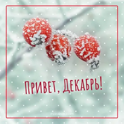 Зима пришла 🎄 #зима #декабрь | Instagram