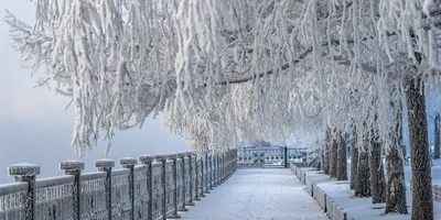Зима в россии картинки