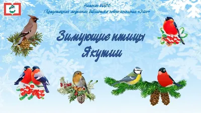 Рисунок Зимующие птицы №177561 - «Зимняя сказка» (28.12.2023 - 09:09)