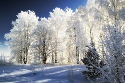 Зимушка-Зима — Фото №213949