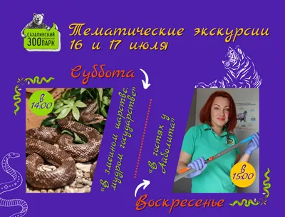 Уничтожение змей: обработка от змей на участке, цена в Казани