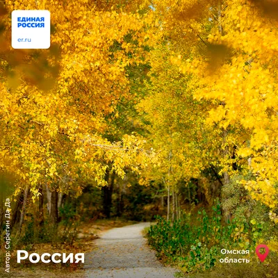 Золотая осень пейзаж (56 фото) - 56 фото