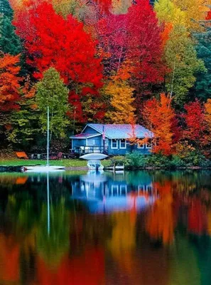 Золотая осень | Autumn lake, Autumn scenery, Beautiful nature
