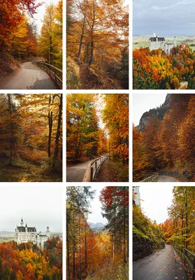 Золотая осень в Баварии: обои на телефон
