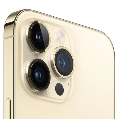 iPhone 6 одели в золотой корпус | AppleInsider.ru