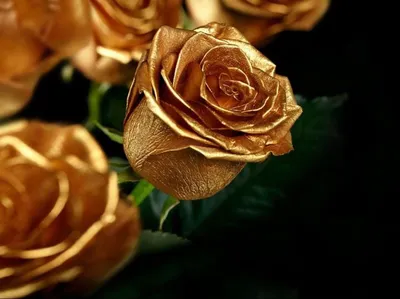 ᐉ Букет \"Голландские золотые розы\" — интернет-магазин ZakazBuketov