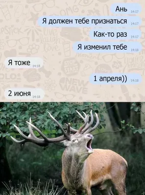День Дурака - Реакция на 1 апреля - Лучшие Приколы и розыгрыши друзей |  Дизель Шоу 2020, Украина - YouTube