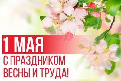 1 мая — Праздник весны и труда — МАДОУ д/с №121 города Тюмени