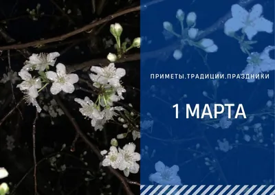 1 марта это день, возвещающий весну вместе с прекрасным праздником  Мэрцишор. | Мэрия города Орхей - Молдова