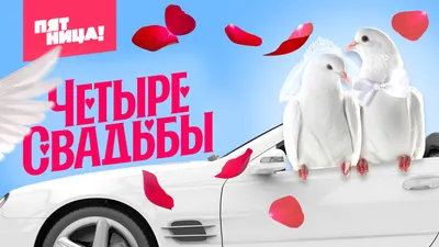 Зелёная свадьба (1 месяц) 💘 Поздравления на годовщину, что дарят, описание