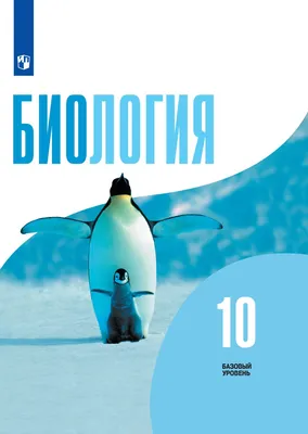 10 КЛАСС СОР/СОЧ РУС [СКУЛХАК] 2024 | ВКонтакте