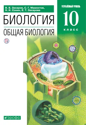 Дополнительные внеконкурсные места в 10 класс Лицея – Новости – Лицей НИУ  ВШЭ – Национальный исследовательский университет «Высшая школа экономики»