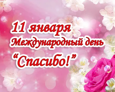 Международный день «Спасибо» - Городская лига волонтёров