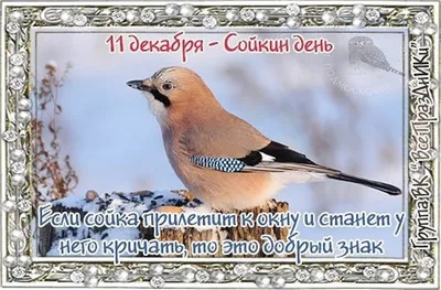 Какой сегодня праздник в России и мире — 11 декабря - 10.12.2023, Sputnik  Южная Осетия