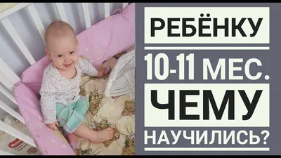 Осенние 11 месяцев — 10 ответов | форум Babyblog