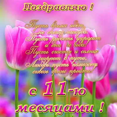 Картинки поздравления 11 месяцев девочке родителям (46 фото) » Юмор,  позитив и много смешных картинок