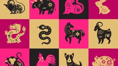 Китайский календарь по годам, животным и цветам | Хочу всё знать | Дзен
