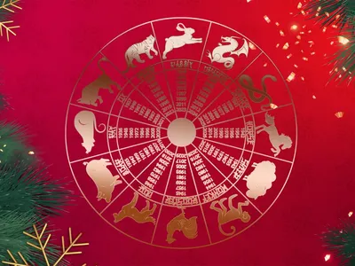 12 символов гороскопа зодиака золотого китайского года лунных Иллюстрация  вектора - иллюстрации насчитывающей фарфор, гороскоп: 122733275