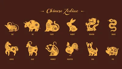 12 животного китайского календаря зодиака Символы Нового Года, восточного  календаря Карандаш эскиза Рисовать вручную Иллюстрация вектора -  иллюстрации насчитывающей график, изображение: 82229150