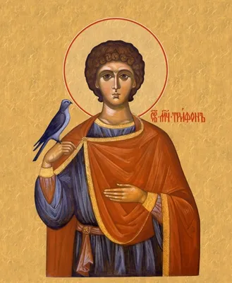 Православные верующие сегодня отмечают День святого мученика Трифона |  Baltija.eu