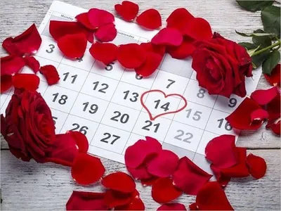 Какой сегодня день - 14 февраля День влюбленных и компьютерщика