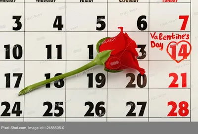 14 февраля день всех влюбленных романтика любовь