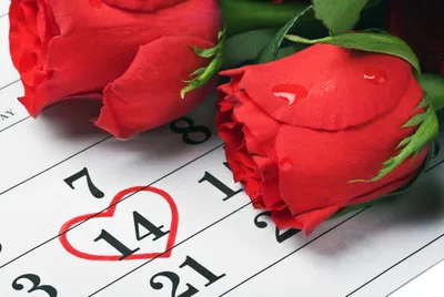 14 февраля: какой сегодня праздник | Інформатор Нікополь