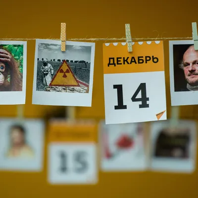 Какой сегодня праздник: 14 января - 14.01.2022, Sputnik Казахстан