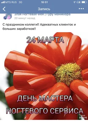 День мастера маникюра (миндальная форма) - купить в Киеве | Tufishop.com.ua