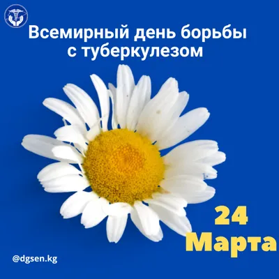 24 марта - Всемирный день борьбы с туберкулёзом