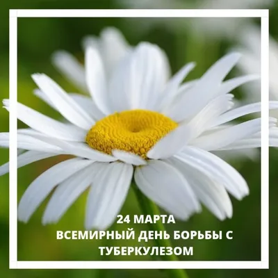 24 марта - Всемирный день борьбы с туберкулезом.