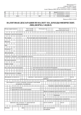 Бланк налоговой декларации 3-НДФЛ за 2023 год: скачать бесплатно